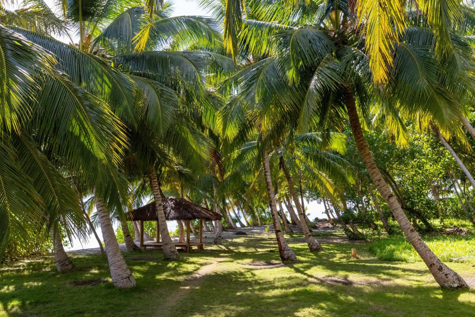 Aloita Resort Mentawai Tua Pejat Bagian luar foto